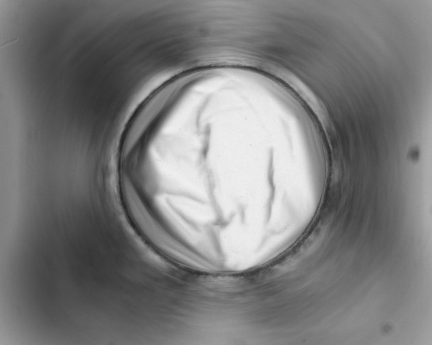 X0000101961293200808151306