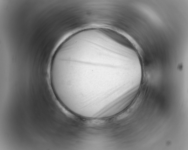 X0000101961294200808151306