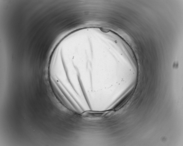 X0000101961296200808151306