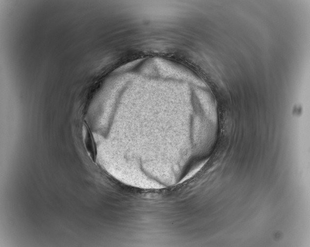 X0000101961297200808151306