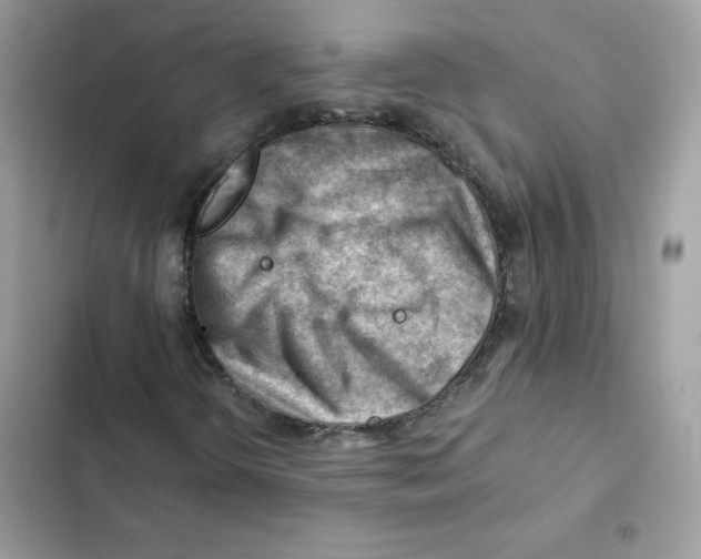 X0000101961298200808151306