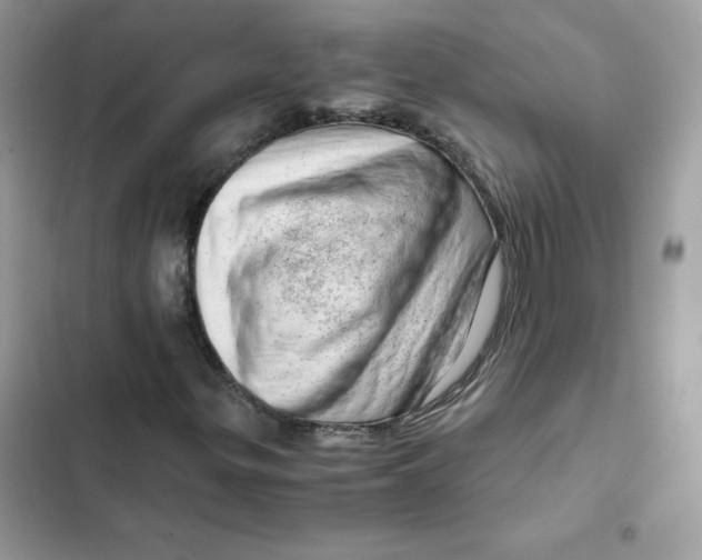X0000101961299200808151306
