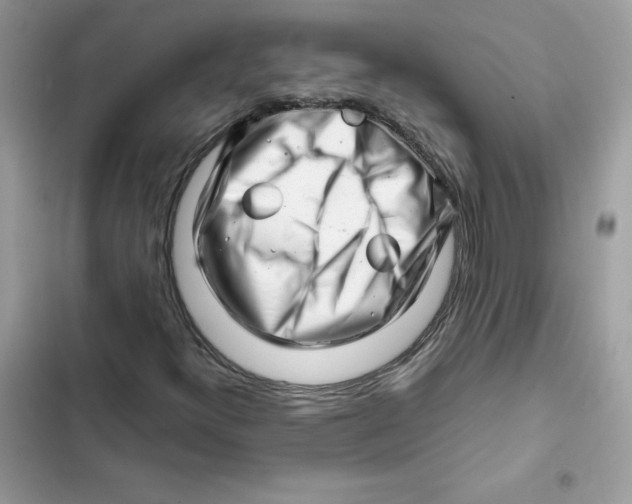 X0000101961300200808151306