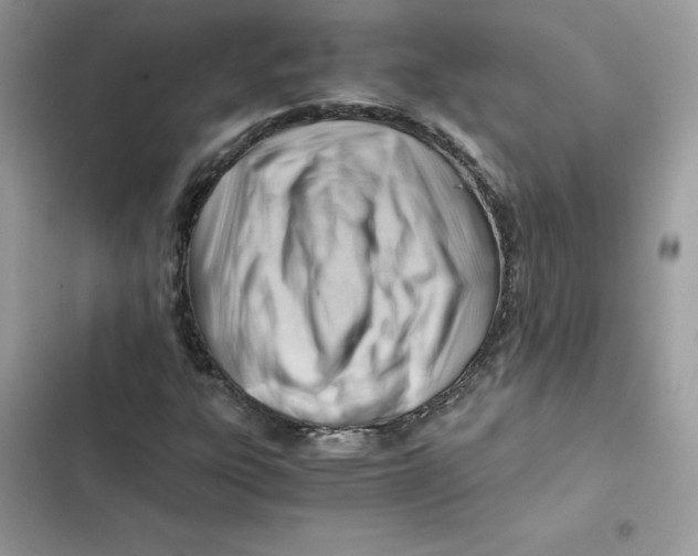 X0000101961303200808151306