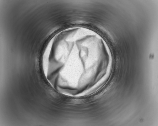 X0000101961305200808151306