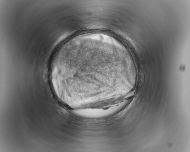 X0000101961306200808151306