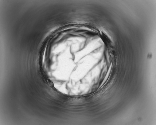 X0000101961307200808151306