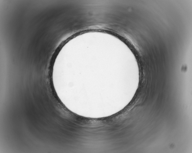X0000101961308200808151306