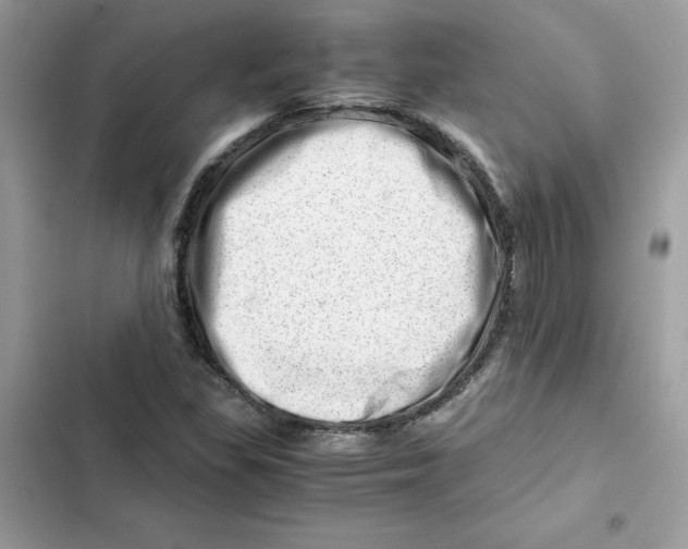 X0000101961309200808151306