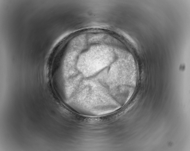 X0000101961310200808151306