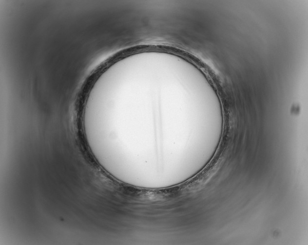 X0000101961311200808151306