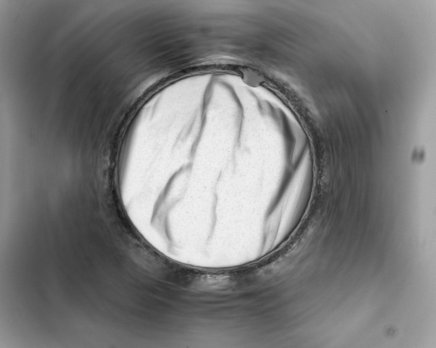 X0000101961313200808151306