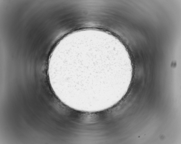 X0000101961314200808151306