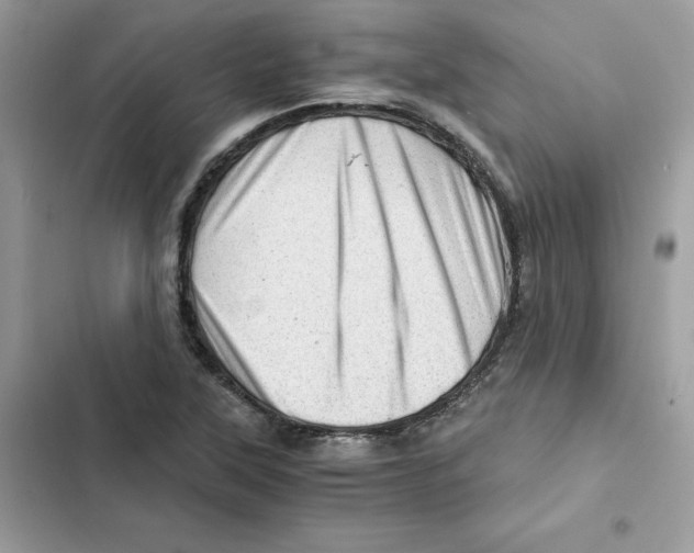 X0000101961315200808151306