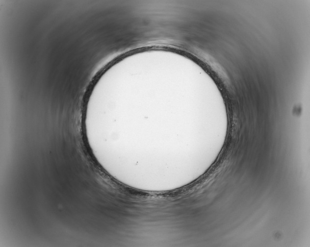 X0000101961316200808151306