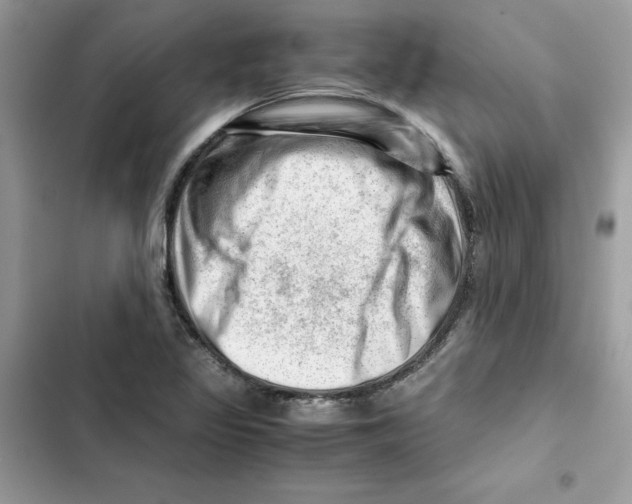 X0000101961317200808151306