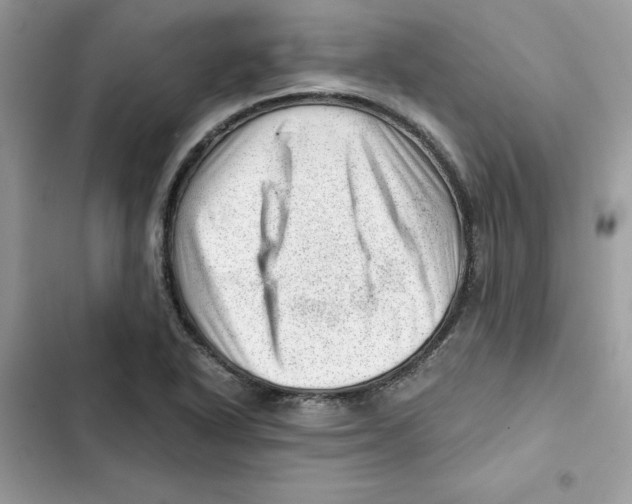 X0000101961318200808151306