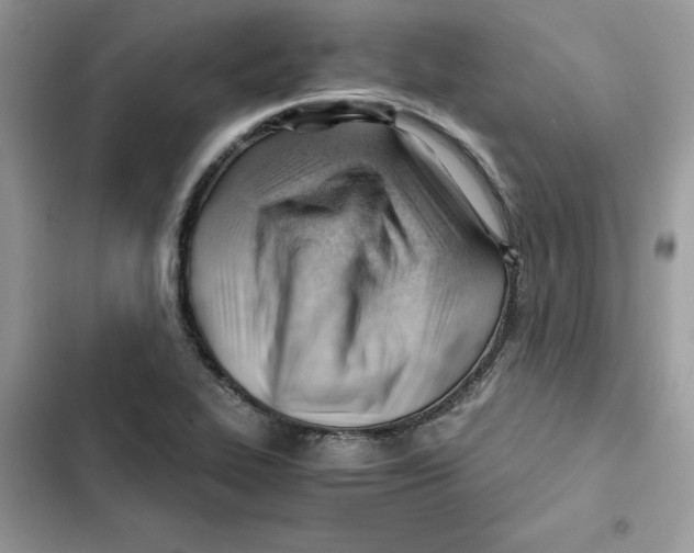 X0000101961319200808151306