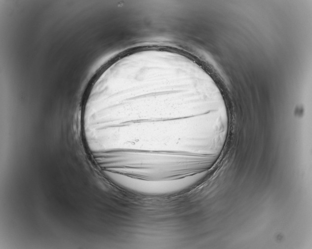 X0000101961320200808151306