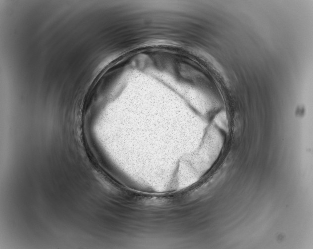 X0000101961321200808151306