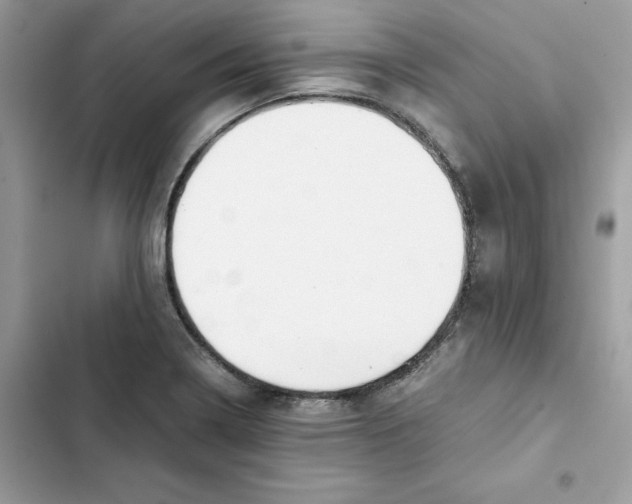 X0000101961322200808151306