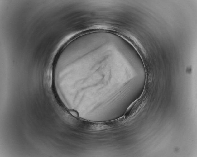 X0000101961323200808151306