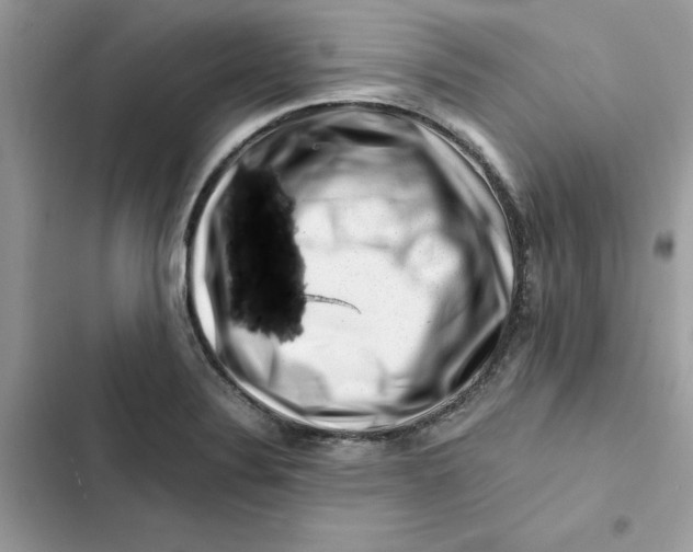 X0000101961324200808151306