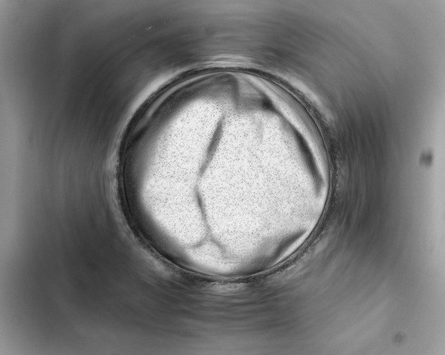 X0000101961325200808151306