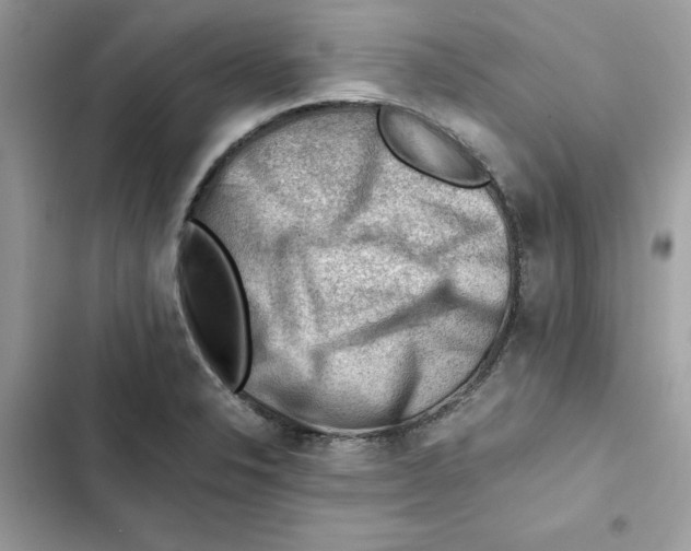 X0000101961326200808151306