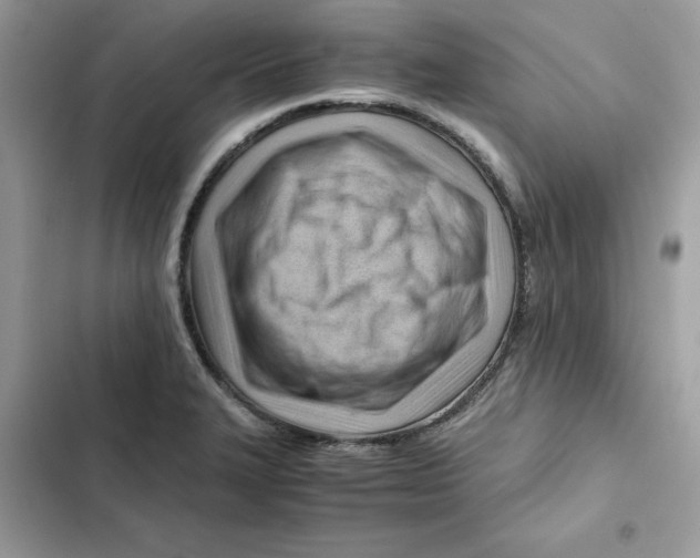 X0000101961327200808151306