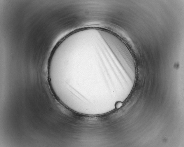 X0000101961328200808151306
