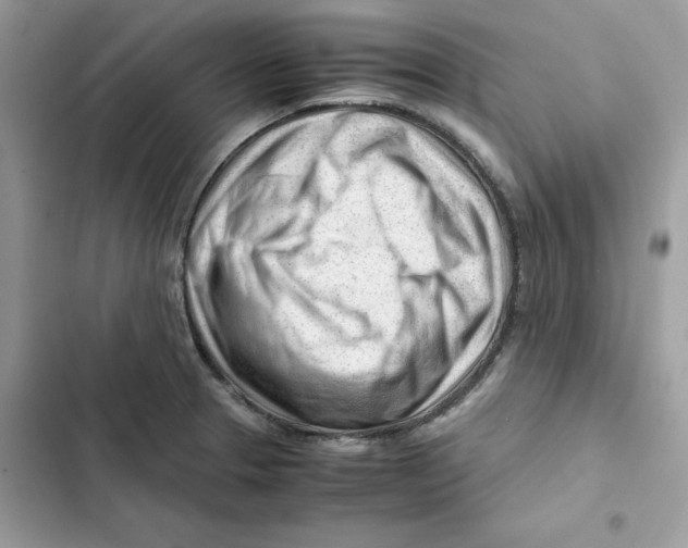 X0000101961329200808151306