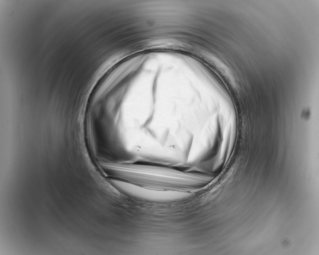 X0000101961330200808151306