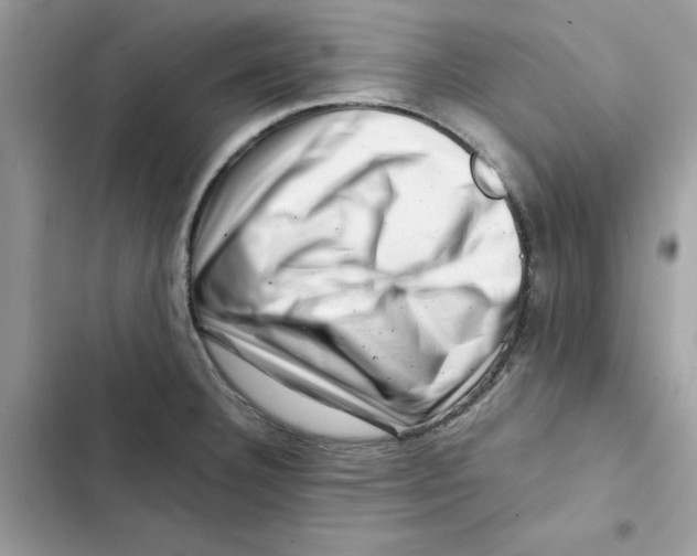 X0000101961332200808151306