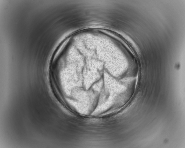 X0000101961333200808151306