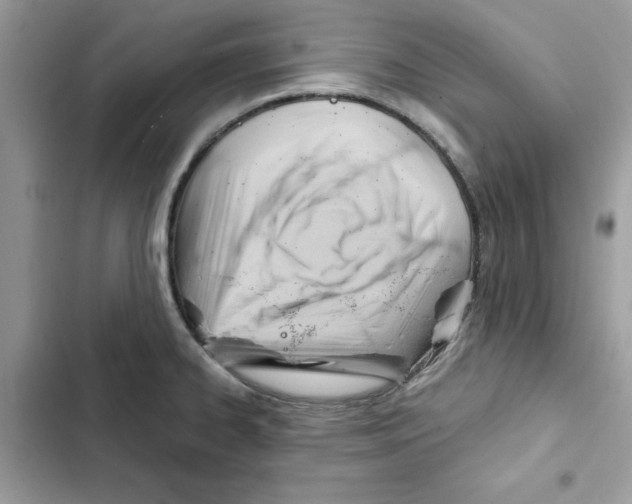 X0000101961334200808151306