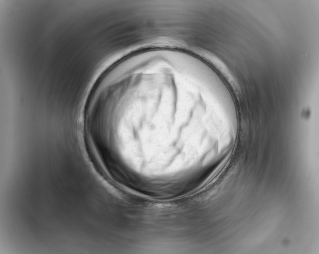 X0000101961335200808151306