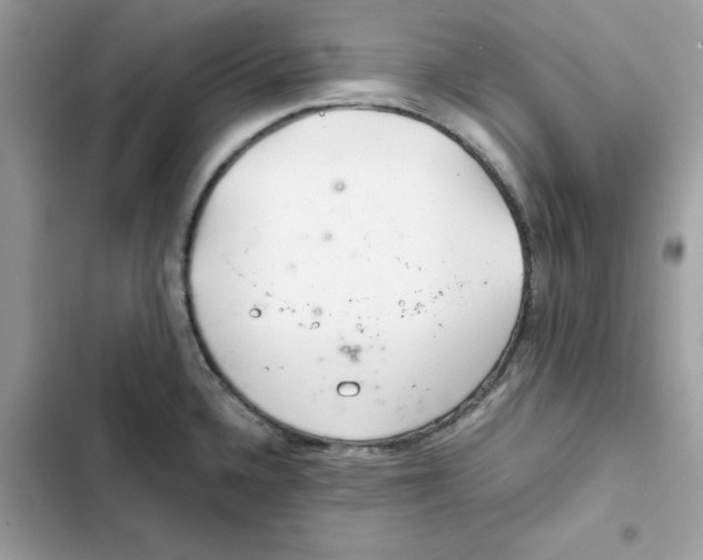 X0000101961336200808151306