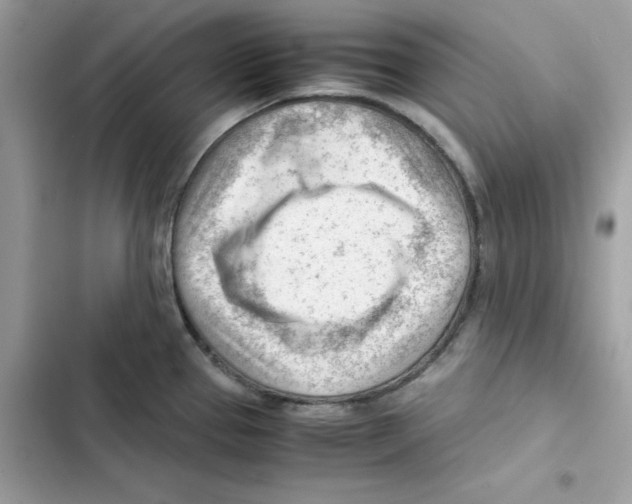 X0000101961337200808151306