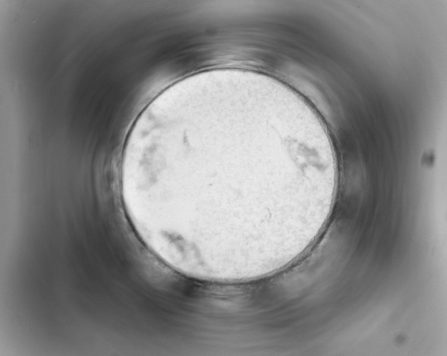 X0000101961338200808151306