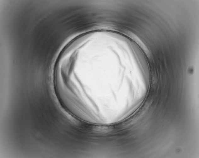 X0000101961339200808151306