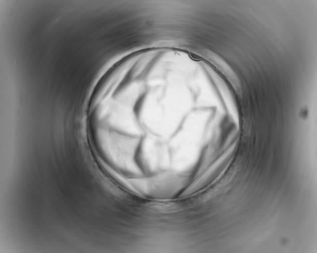 X0000101961340200808151306