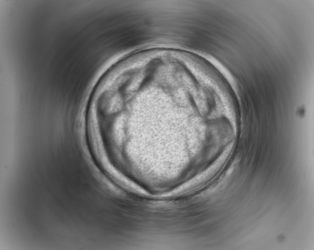X0000101961341200808151306