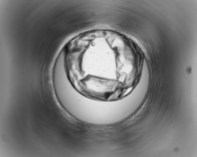 X0000101961342200808151306