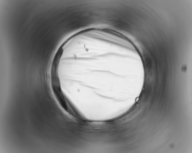 X0000101961343200808151306