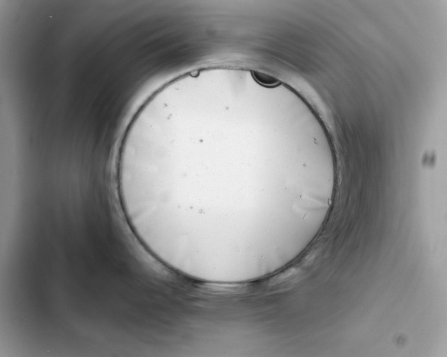 X0000101961344200808151306