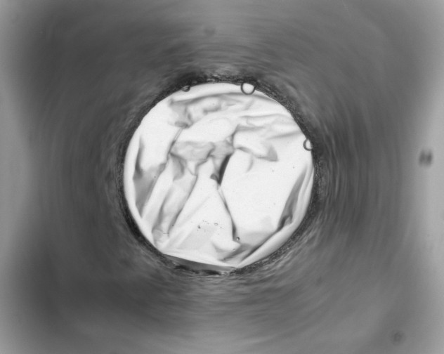 X0000101961345200808151306