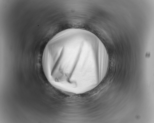 X0000101961346200808151306