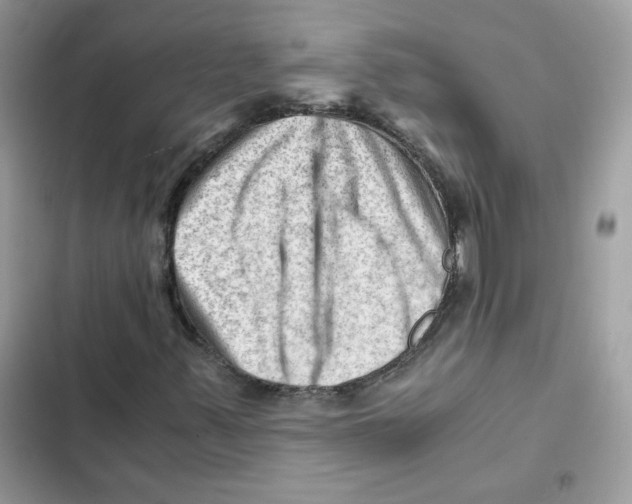X0000101961347200808151306