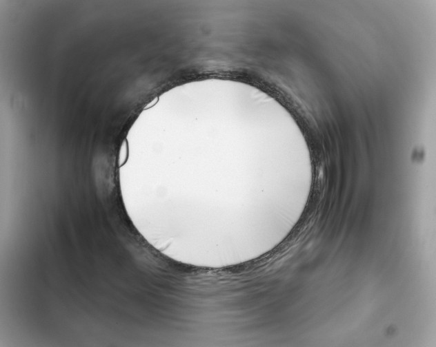 X0000101961348200808151306